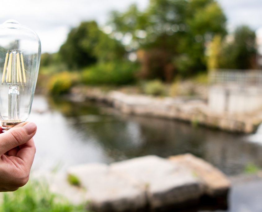 Hand hält eine Glühbirne vor einem Flussufer
