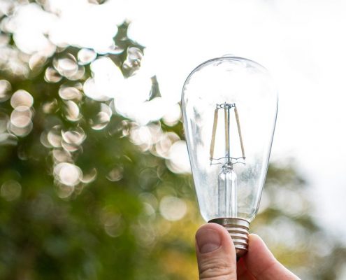 Hand hält eine Filament-Glühbirne gegen das Licht; im Hintergrund unscharfe Blätter und Lichtreflexe eines Baumes.