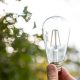 Hand hält eine Filament-Glühbirne gegen das Licht; im Hintergrund unscharfe Blätter und Lichtreflexe eines Baumes.
