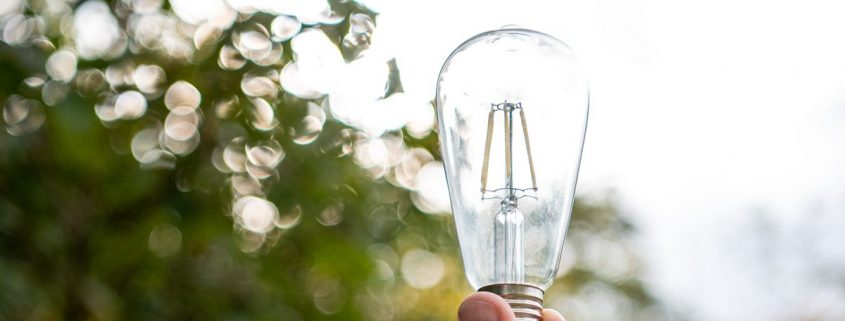 Hand hält eine Filament-Glühbirne gegen das Licht; im Hintergrund unscharfe Blätter und Lichtreflexe eines Baumes.