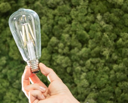 Hand hält eine Filament-Glühbirne vor einer dicht bewachsenen Wand aus grünem Moos.
